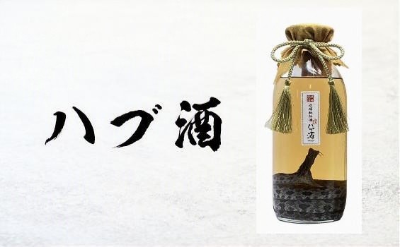 ハブ酒